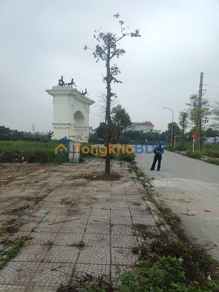 Đất Nền Khu Đô Thị Bảo Long Từ Sơn - 100m², Sổ Hồng Sẵn Sàng, Giá Tốt