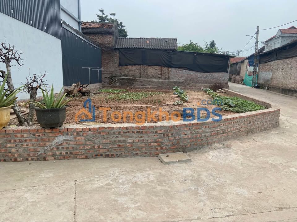 Đất nền Thôn Tây Văn Khê 100m² 300 triệu - Sổ đỏ chính chủ