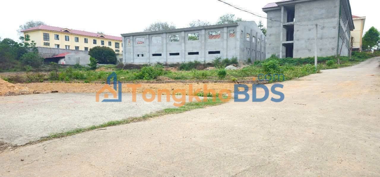 Đất nền Hướng Đạo Tam Dương 201m² thỏa thuận - Tiềm năng tăng giá