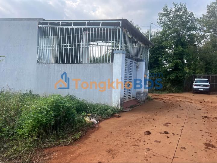 Đất Nguyễn Thái Bình BMT 125m² 1,25 tỷ - Xây dựng tự do