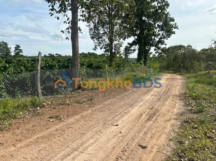 Đất nền Buôn Đôn 1.000m² giá 139 triệu - Đường to ô tô