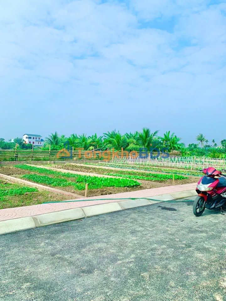 Đất nền An Thọ An Lão 82m² giá 8xx triệu - Sổ đỏ chính chủ, hướng Đông Bắc