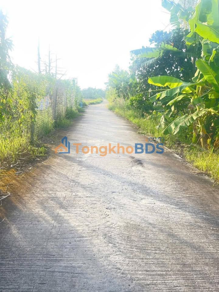 Đất Cầu Dừa Cai Lậy 2.800m² 1,54 tỷ - Sổ đỏ chính chủ