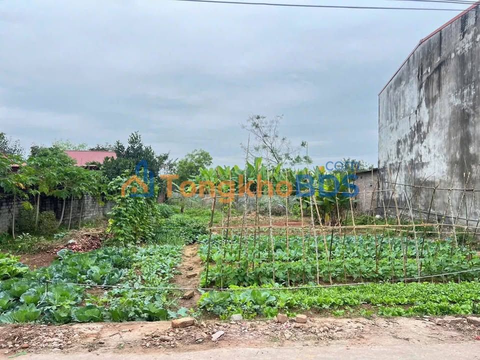 Townhouse Quang Trung Việt Yên 200m² 1,6x tỷ - Mặt tiền kinh doanh