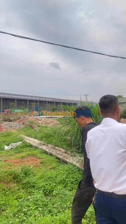 Đất gần KCN Tân Hưng Hiệp Hòa 100m² - Sổ đỏ chính chủ, đầu tư sinh lời