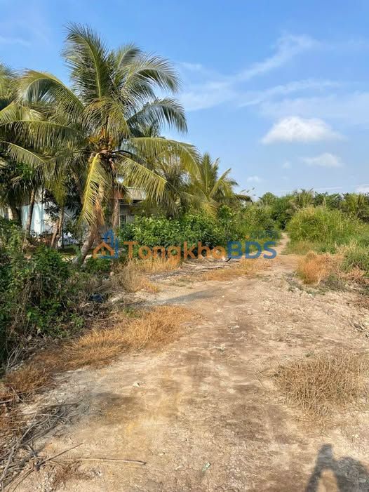 Đất nền Vĩnh Hiệp Thốt Nốt 18 công 9.9 tỷ - Đường to ô tô