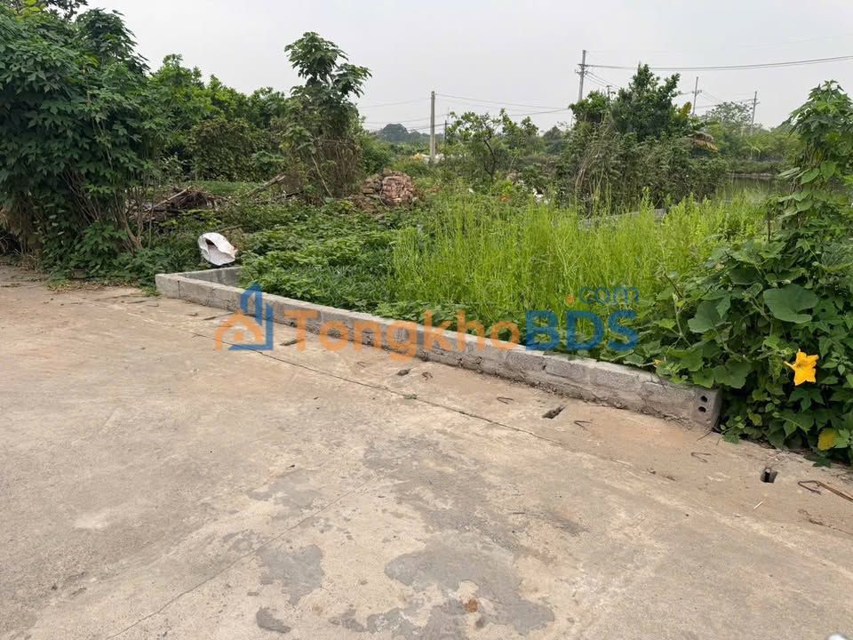 Đất thổ cư Nghiêm Xá Nguyễn Trãi 100m2 0,7 tỷ - Sổ đỏ chính chủ