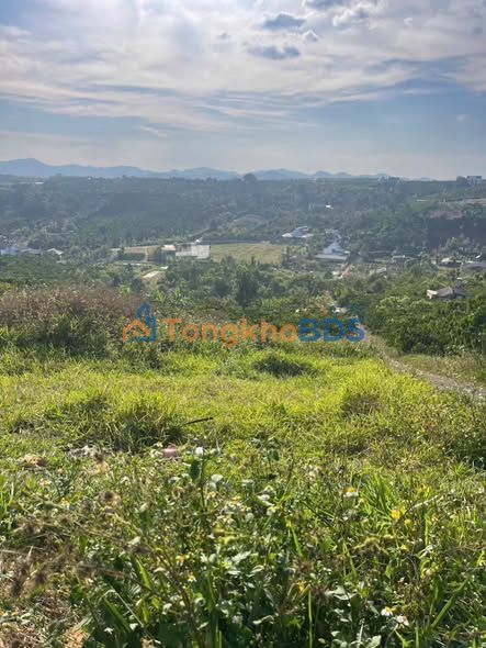 Đất nền Trần Nhật Duật P2 Bảo Lộc giá 2.1 tỷ - Pháp lý rõ ràng