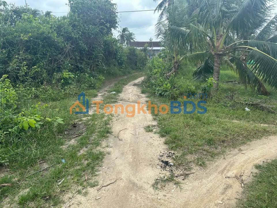 Đất nền Xã Cát Lâm 3.080m² giá tốt - Sổ đỏ chính chủ