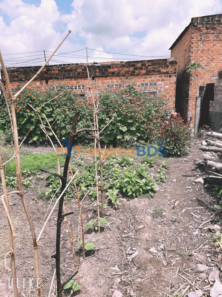 Đất nền Phước An 100m² 350 triệu - Sổ đỏ chính chủ