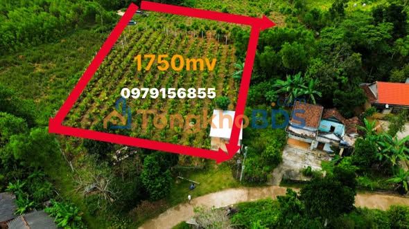 Đất vườn Đức Tân Mộ Đức 1.750m² giá 1 tỷ - An yên tĩnh lặng