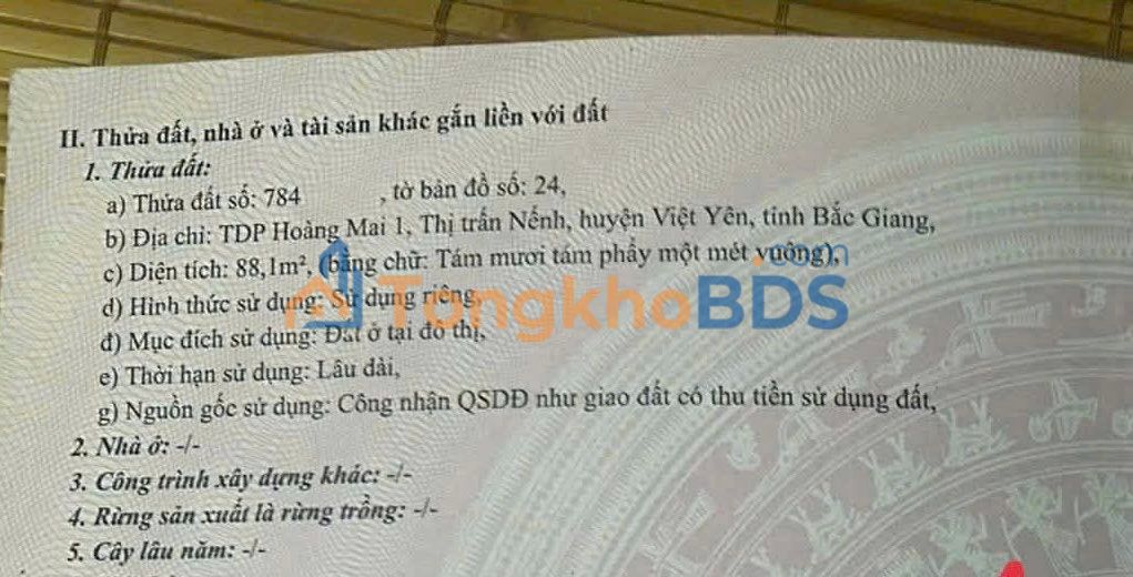 Đất nền Nếnh Việt Yên 88m² 1.7 tỷ - Đất thổ cư 100%