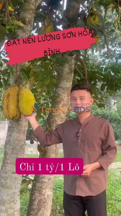 Đất nền Greenland Hòa Bình 112m² giá mềm - Sổ đỏ