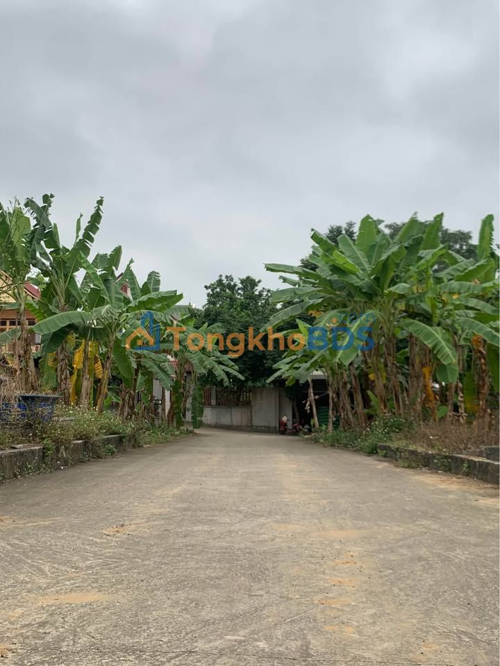 Đất nền Thị trấn Thắng 109m² 8xx triệu - Sổ hồng chính chủ