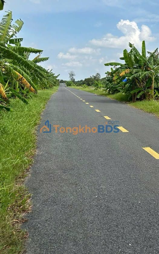 Đất nền 927C Củ Chi 2.500m² 4 tỷ - Sổ đỏ chính chủ