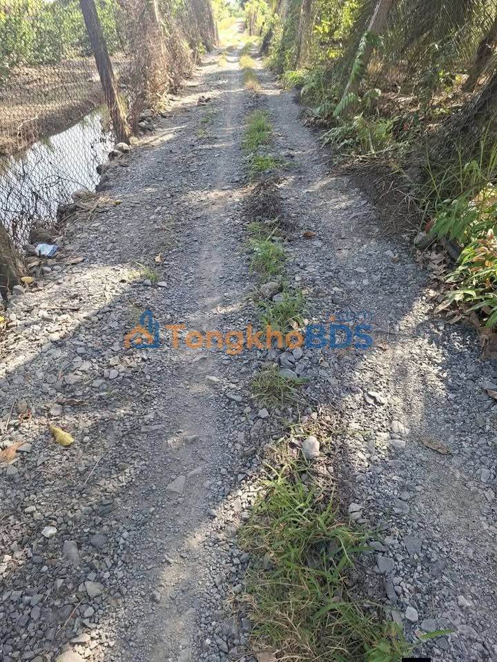 Đất vườn Ấp 9 Bến Lức 9.010m² 7.208 tỷ - Tiềm năng tăng giá