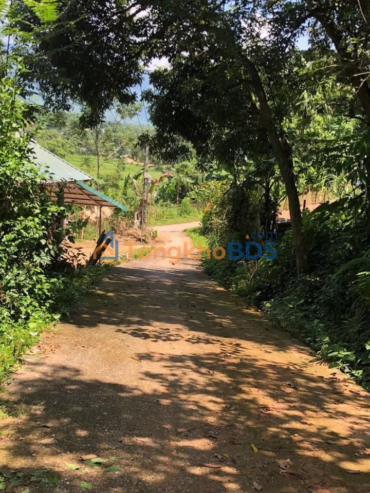 Đất nền Mai Châu Hòa Bình 1488m² 400-499 triệu - Đường ô tô