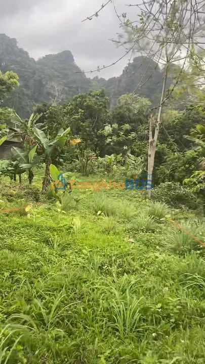 Đất Cao Dương Lương Sơn 900m² 2 tỷ - Giá đầu tư tốt