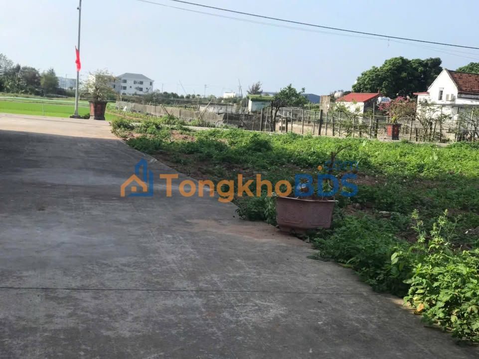 Đất nền Nghĩa Lợi Nghĩa Hưng 166m² 1 tỷ - Sổ đỏ chính chủ