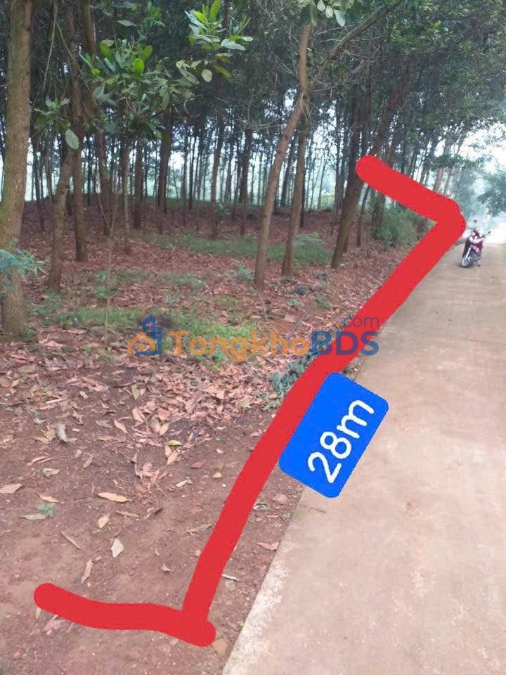 Đất nền Ngọc Phụng Thường Xuân 200 triệu - Sổ đỏ chính chủ