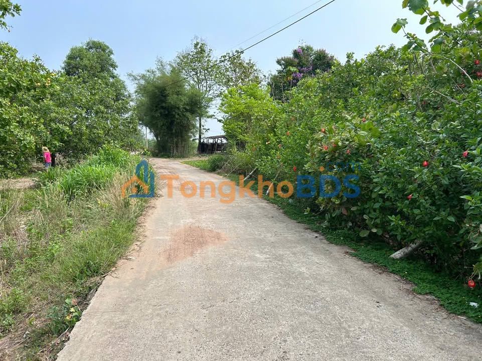 Đất nền Hóc Môn 12.000m² 2,1 tỷ - Đường to ô tô