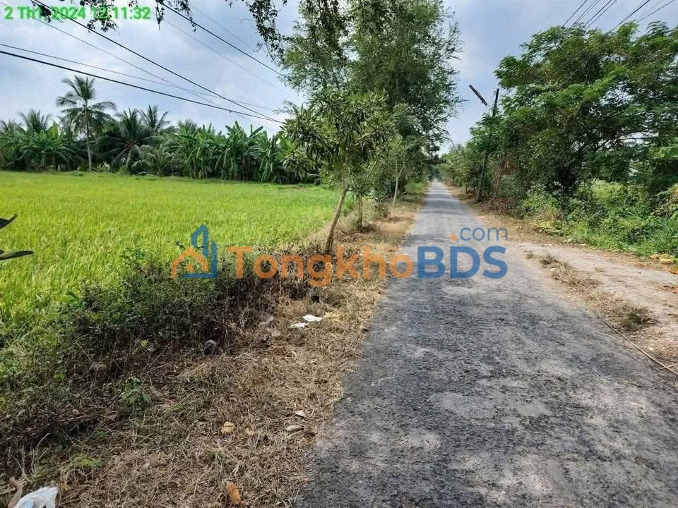 Đất nền Chông Chác P5 Sóc Trăng 394m² 790 triệu - Đường ô tô