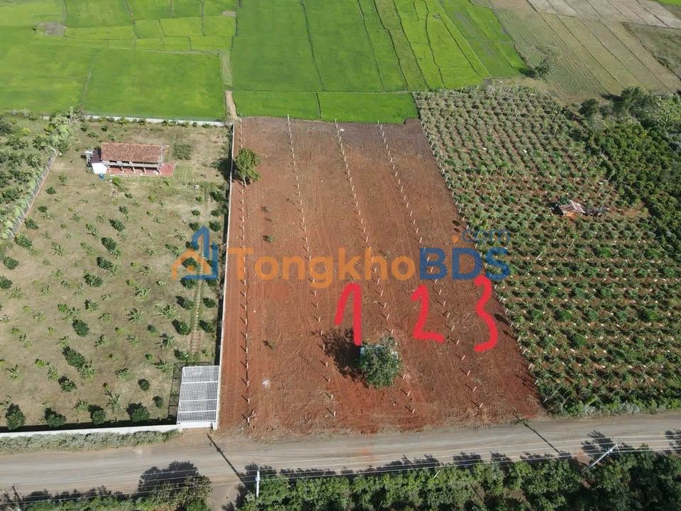 Đất nền Tân Thành BMT 3.132m² 2.55 tỷ - Đường to ô tô