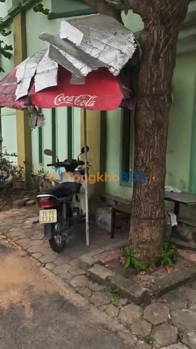 Đất nền Nguyễn Du Việt Trì 81m² 4.98 tỷ - Sổ đỏ chính chủ