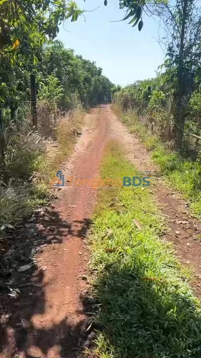 Bán Đất Vườn 11000m² Xã Thống Nhất (Phú Túc) Đồng Nai - Sổ Hồng Riêng