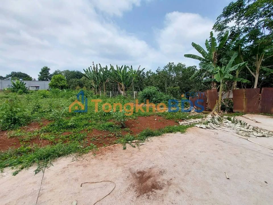 Đất nền Long Khánh 214m² 920 triệu - Sổ đỏ chính chủ