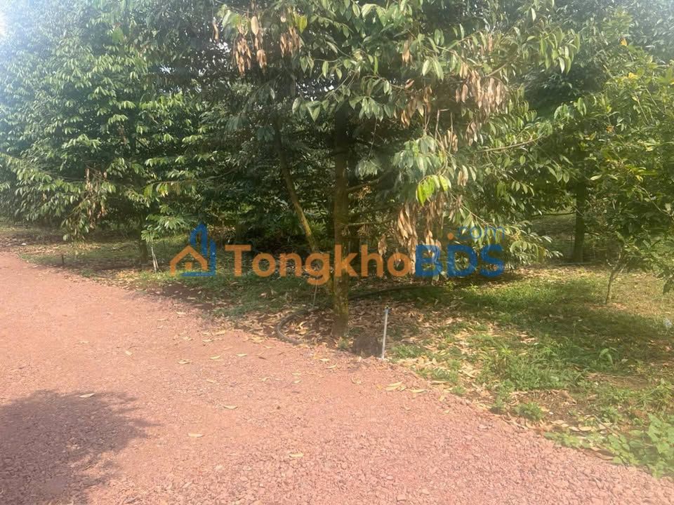 Đất Xuân Tân Long Khánh 500m² 1.001 tỷ - Sổ đỏ chính chủ