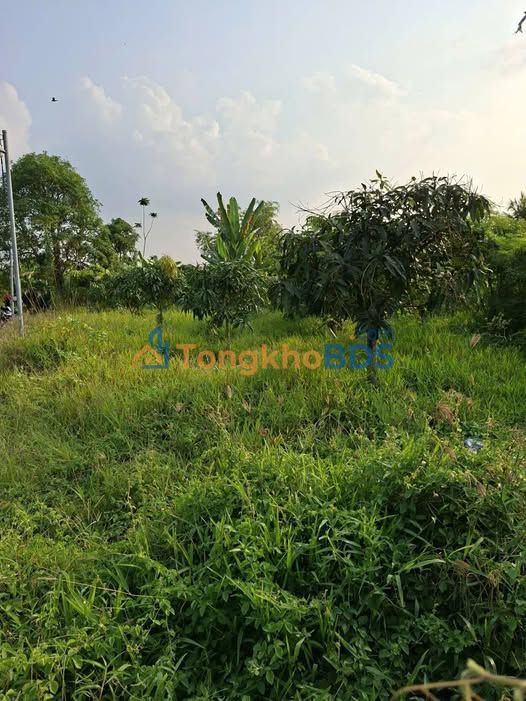 Yêu cầu thêm thông tin