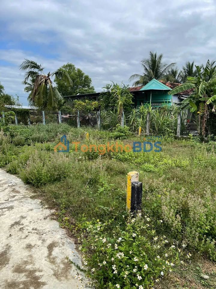 Đất nền Ninh Trung 89,5m² giá 2xx triệu - Đường ôtô