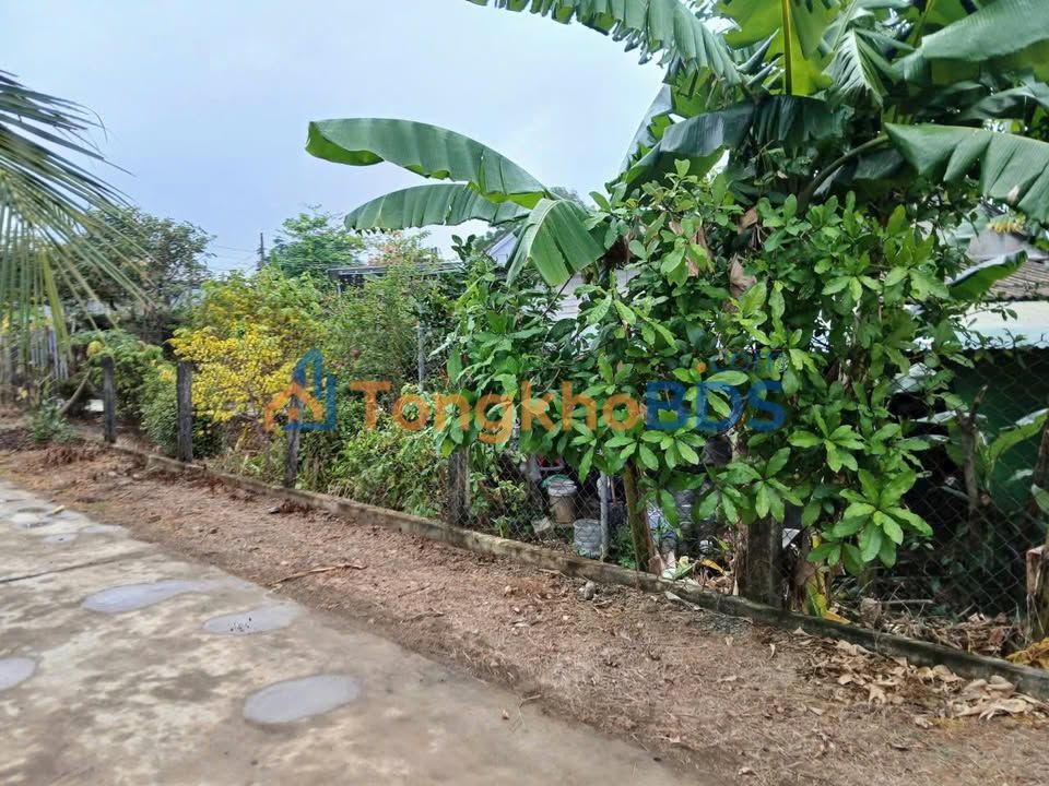 Dat nen Ninh Quang Ninh Hoa 297m2 tiem nang tang gia