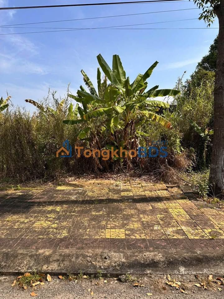 Đất nền Trần Thủ Độ Vị Tân 102m2 699 triệu - Sổ đỏ chính chủ