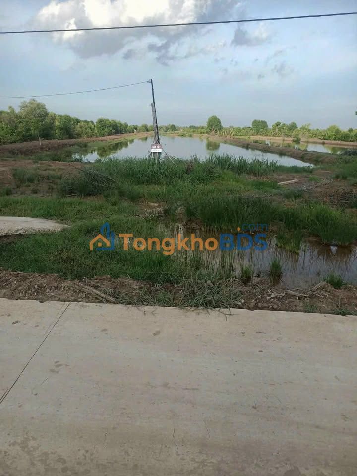 Đất nền Trường An Vĩnh Long 30 công 5,4 tỷ - Đường to ô tô