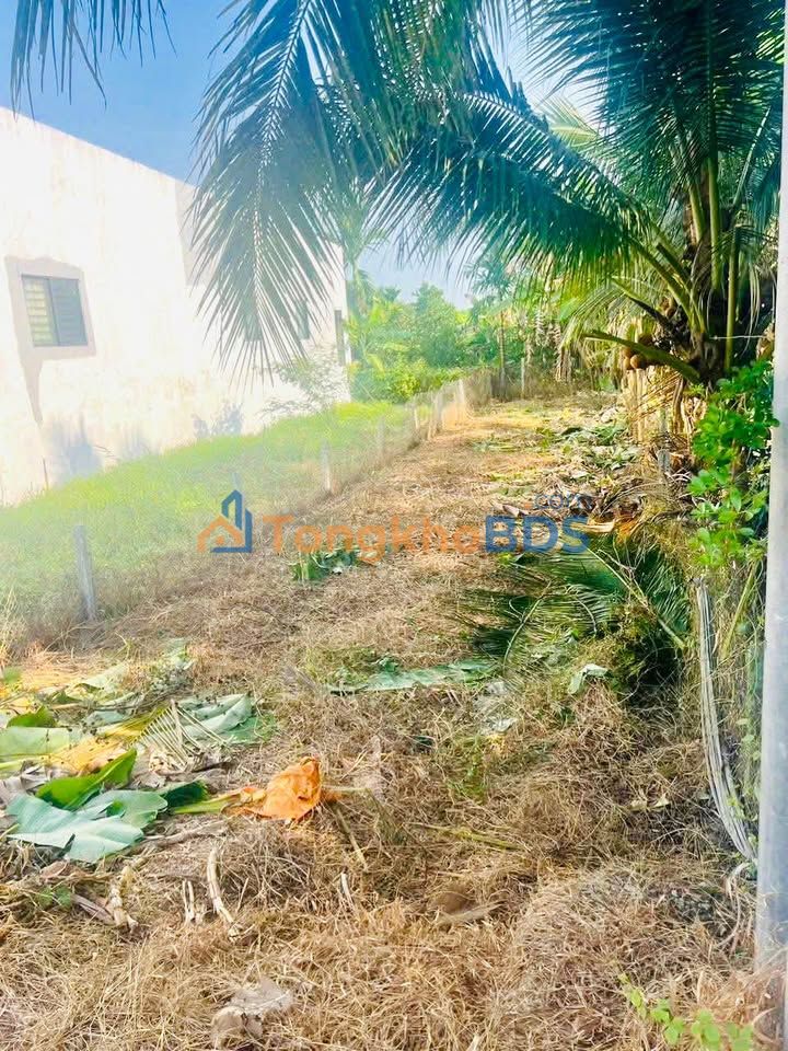 Đất nền Bình Minh Vĩnh Long 130m² 569 triệu - Sổ đỏ chính chủ