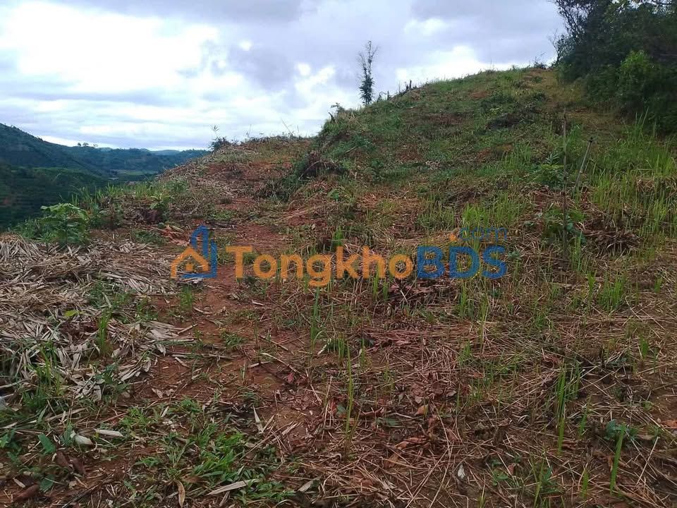 Farm Quang Phu Dak Nong 13000m2 - So do chinh chu