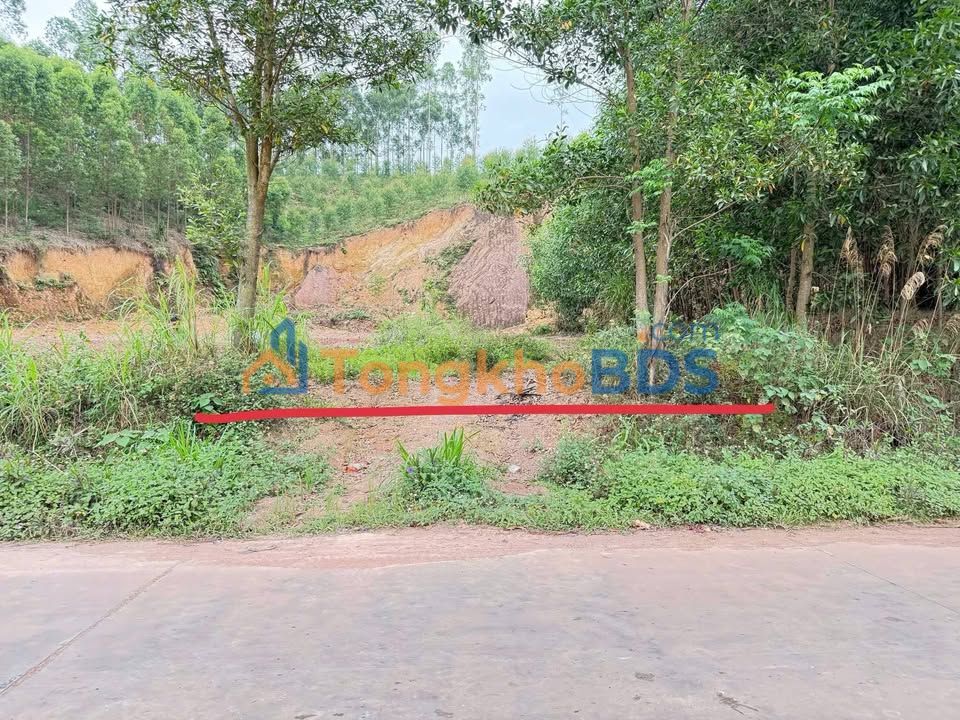 Đất nền Đồng Kỳ Yên Thế 250m² dưới 1 tỷ - Sổ đỏ chính chủ