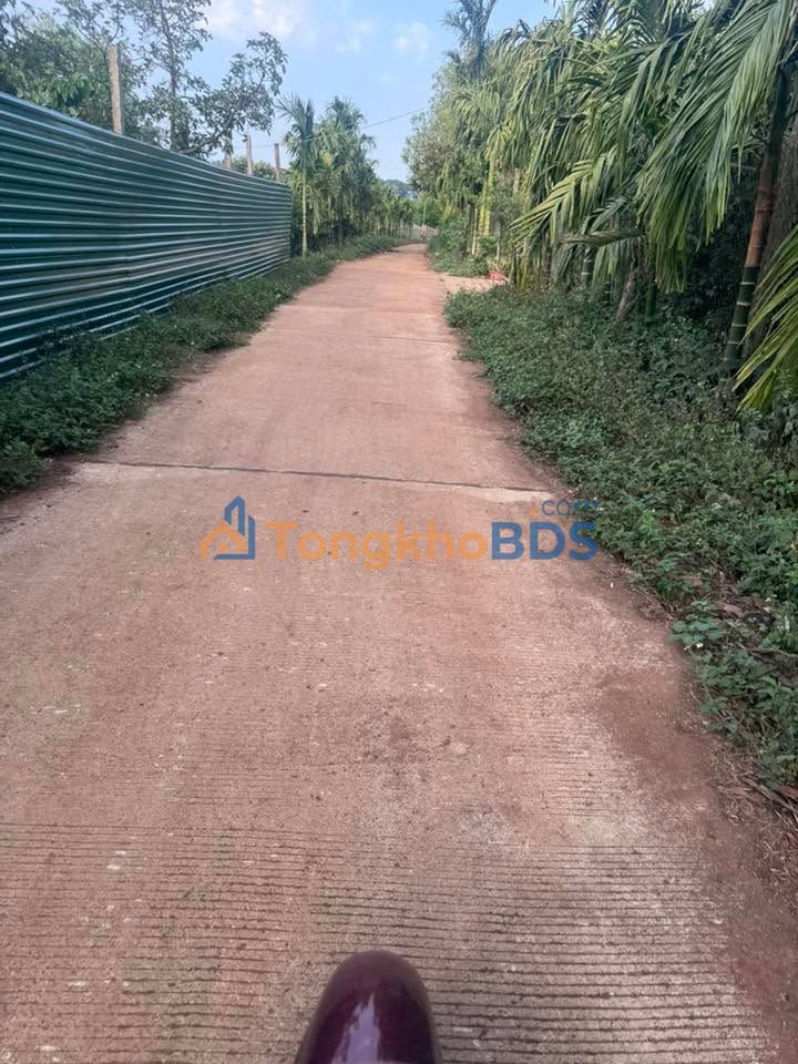 Đất nền Peetong Đông Hòa 2.160m² sổ đỏ chính chủ - Ô tô chạy vào tận nơi