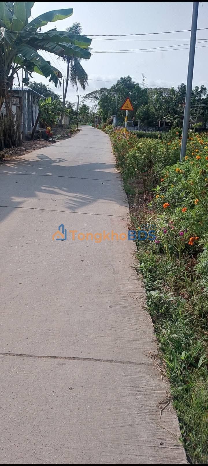 Đất nền Tài Văn Trần Đề 350m² 290 triệu - Sổ đỏ chính chủ