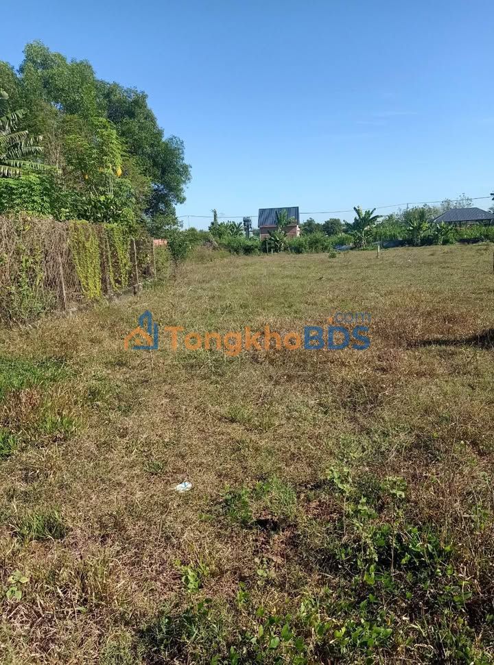 Đất nền Lộc Hưng Trảng Bàng 540m² 800tr - Sổ đỏ chính chủ