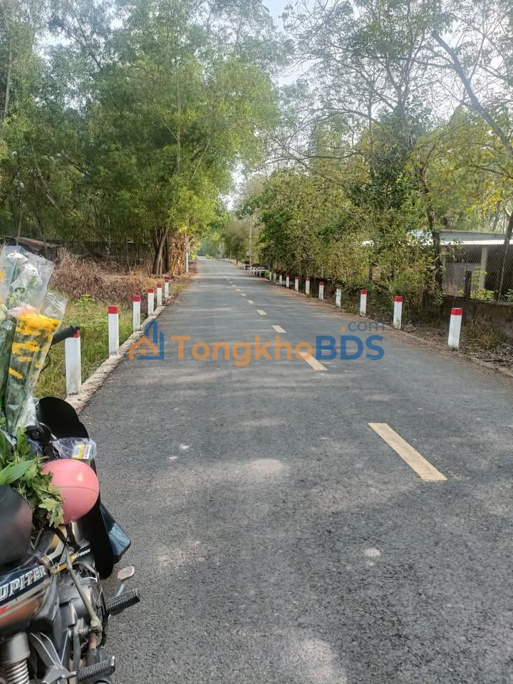 Đất nền An Long Phú Giáo 500m² 1.6 tỷ - Sổ đỏ chính chủ