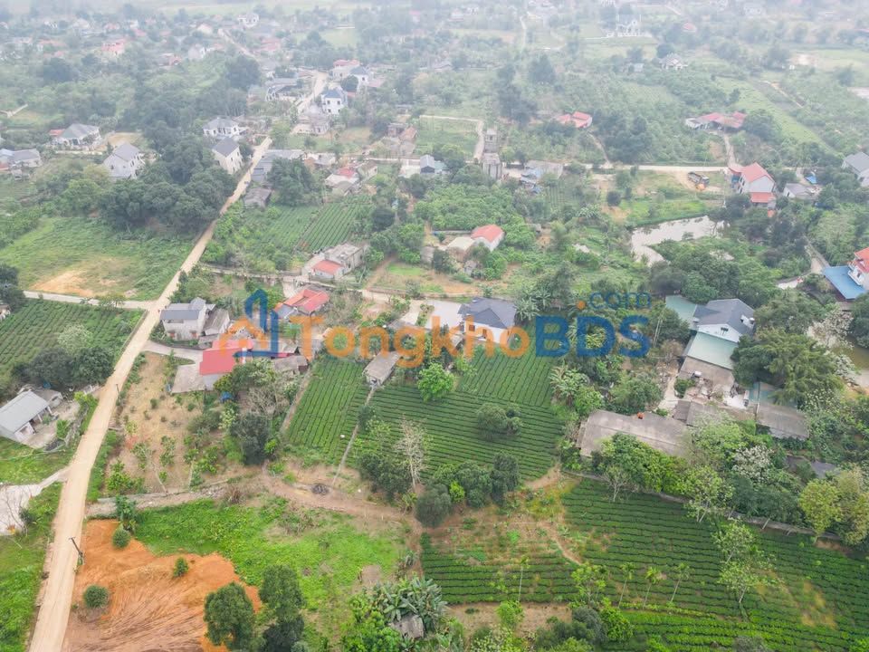 Dat nen Cao Duong 1.500m2 gia F0 - So hong san