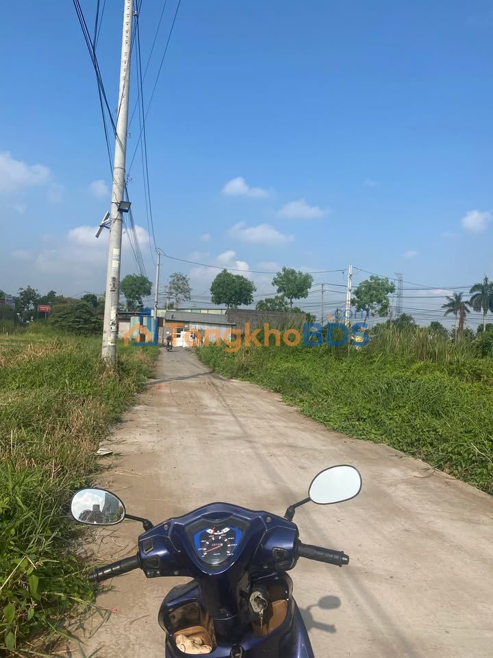 Đất thổ Tân Kim QL50 87m² 1.95 tỷ - Đường to ô tô