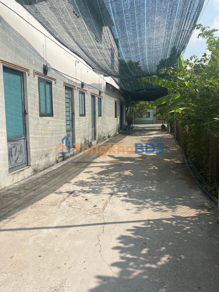 Đất nền Mỹ Lộc Cần Giuộc 99m2 900tr - Đường ô tô