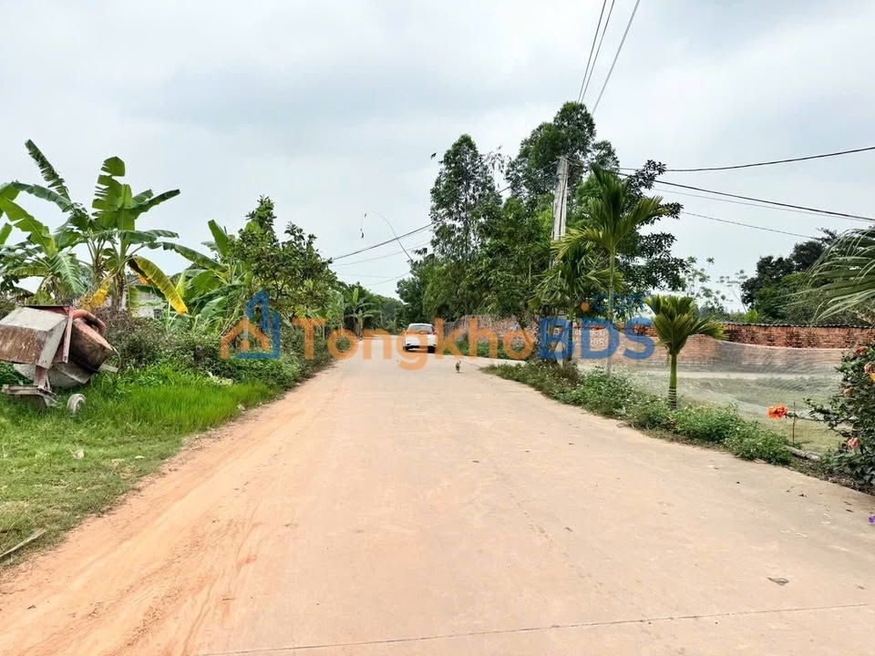 Đất nền Việt Lập Tân Yên 2.000m² 7 tỷ - Đường to ô tô