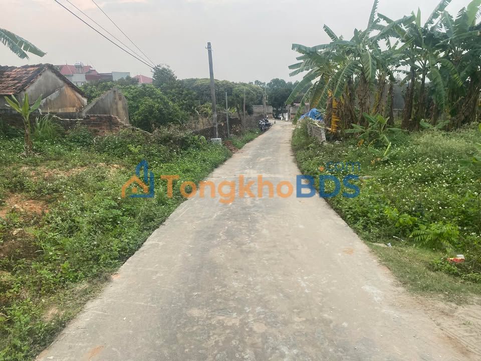 Đất Lan Mẫu Bắc Giang 300m² 900 triệu - Sổ đỏ chính chủ