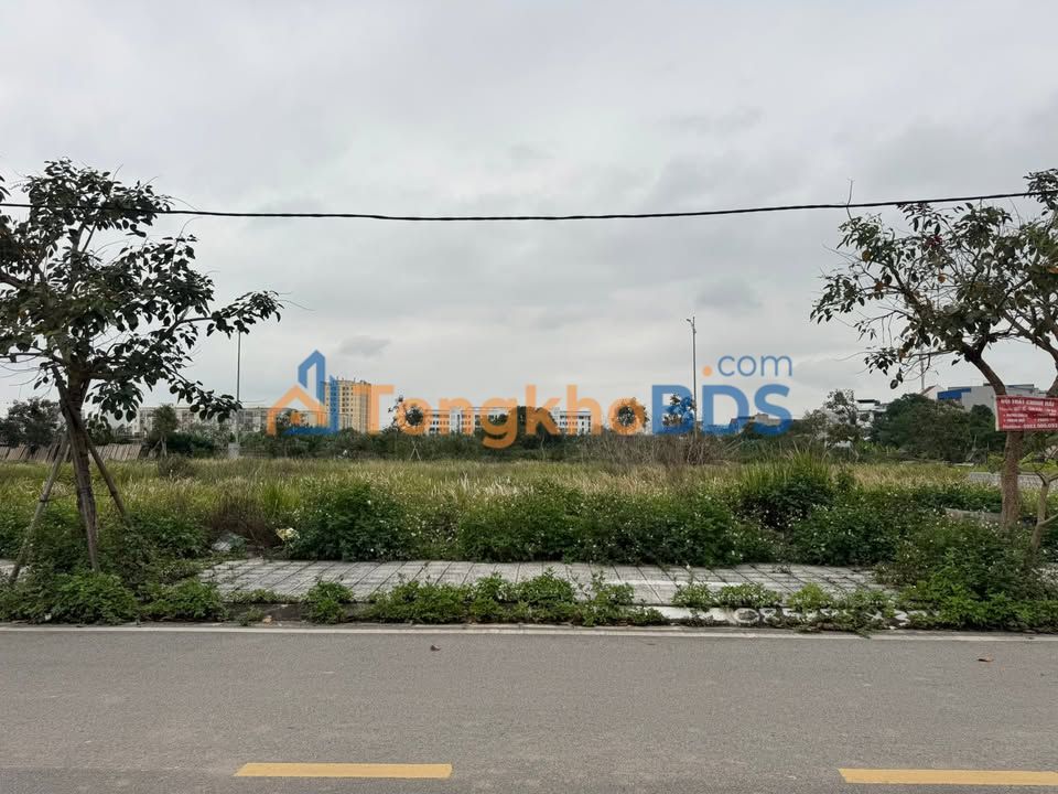 Đất TDC Lương Thế Vinh 85m² Nam Định - Sổ đỏ chính chủ