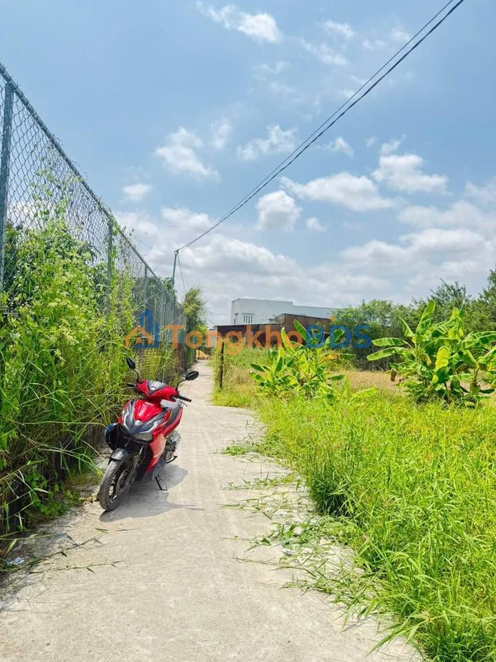 Đất thổ cư Mỹ Lộc Cần Giuộc 88m² 590 triệu - Sổ đỏ chính chủ